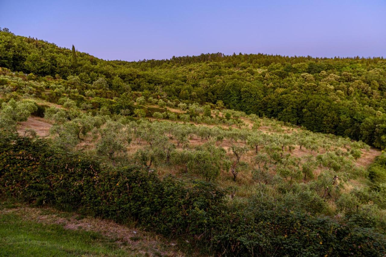 Вилла Agriturismo Concadoro Кастелина ин Шианти Экстерьер фото