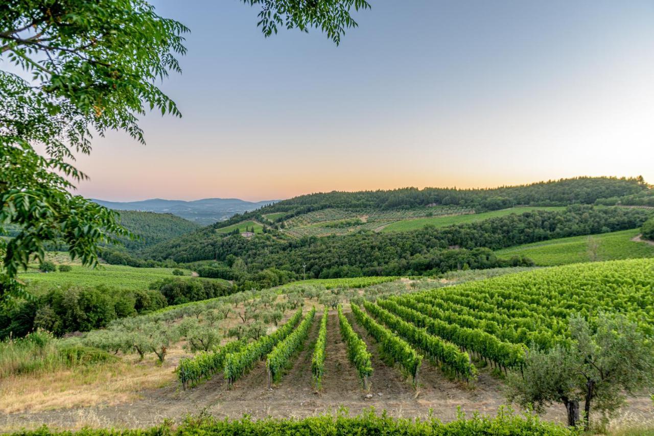 Вилла Agriturismo Concadoro Кастелина ин Шианти Экстерьер фото